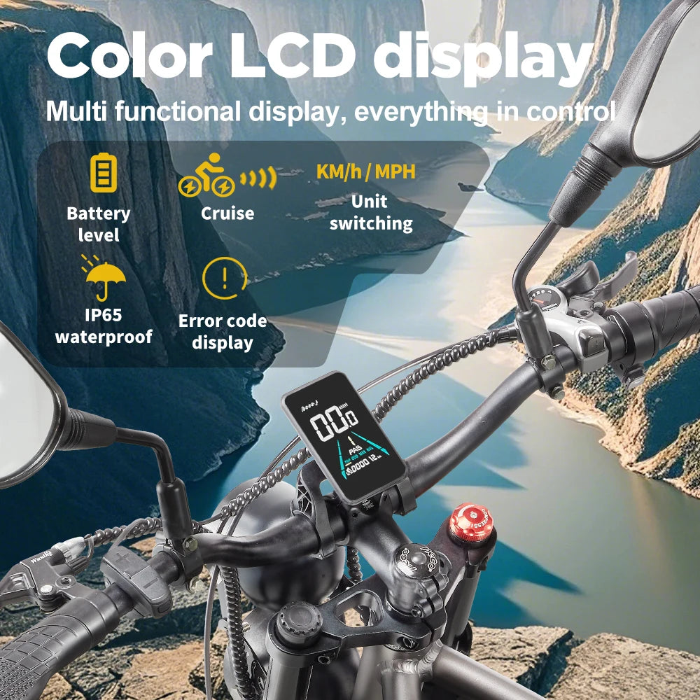 Elektrische fiets met dubbele motor 2×1000W en uitneembare accu