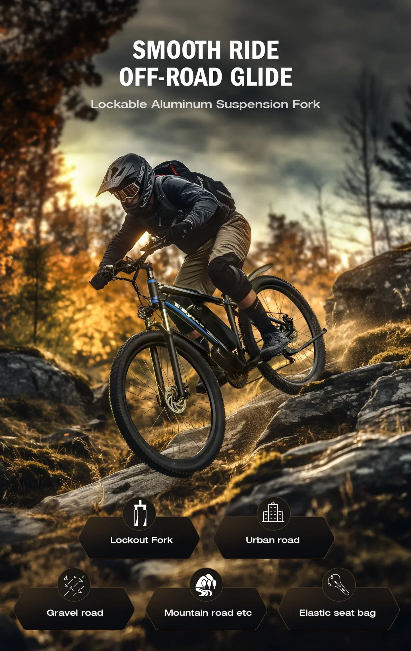 Elektrische fiets 750W motor 48V17.5Ah verwijderbare accu