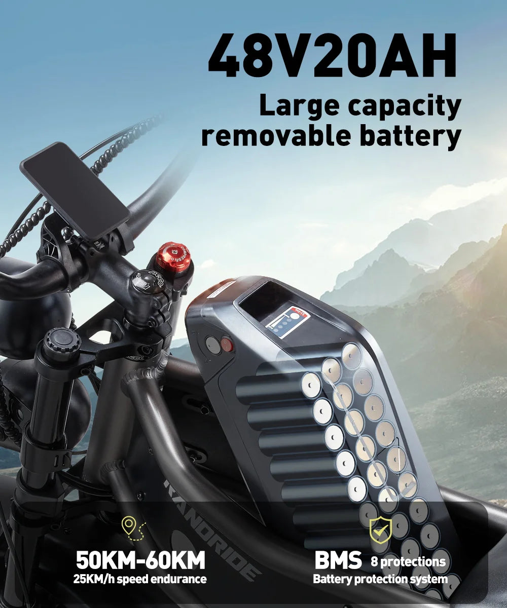 Elektrische fiets met dubbele motor 2×1000W en uitneembare accu