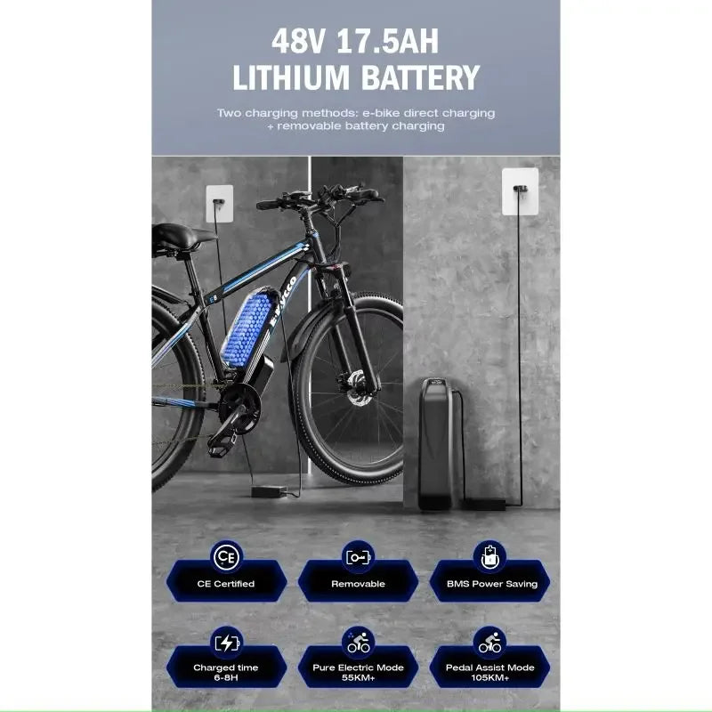 Elektrische fiets 750W motor 48V17.5Ah verwijderbare accu