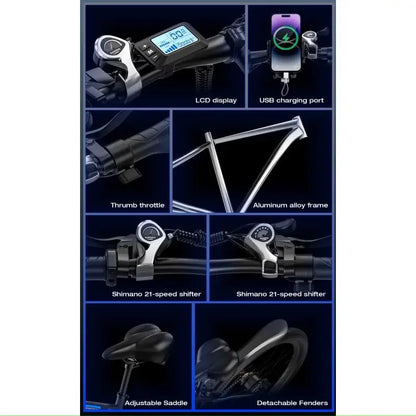 Elektrische fiets 750W motor 48V17.5Ah verwijderbare accu